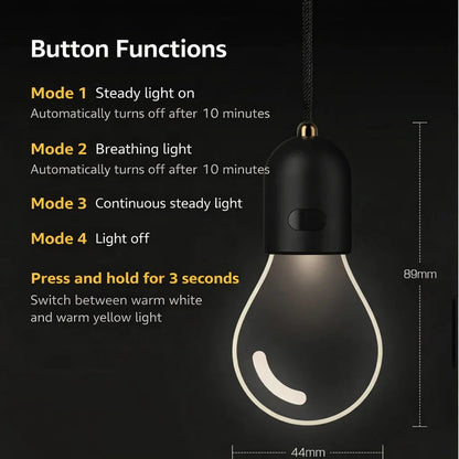 Car Hanging Light