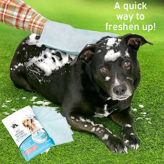 Soapy Pet Bath Gloves Set of 5
