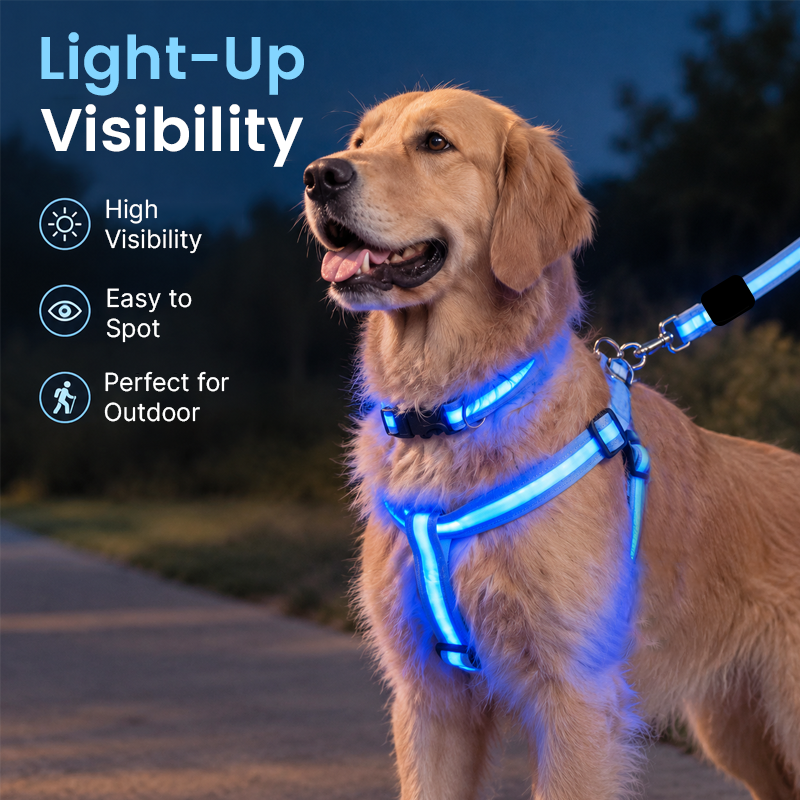 🐶✨ Glow & Go | LED Dog Harness & Leash Set