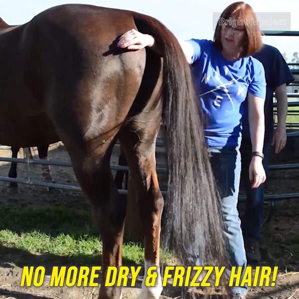 ✨LAST DAY 55% OFF🐎- Horse mane and tail tangling care