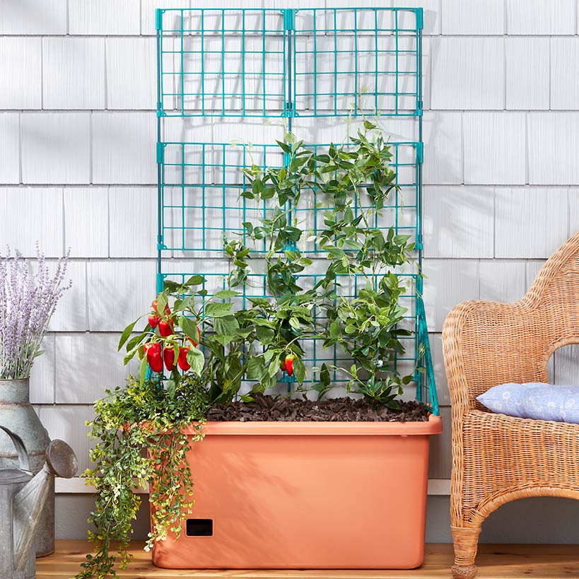 Vegetable Planter With Wheels And Trellis - 58 Inch Self Watering