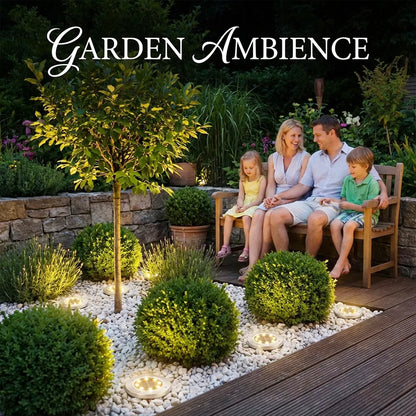 ✨🏡8-LED Solar Garden Lights – Waterproof Outdoor Pathway Decor
