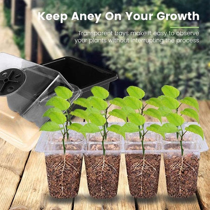 🔥HOT SALE🔥Seed Starter Trays with Grow Light