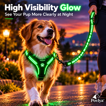 🐾 LED Light-Up Dog Harness & Leash Set 🌙 Keep Your Pup Visible After Dark!