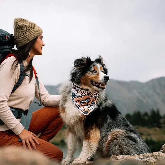 🐶2-in-1 Reversible Dog Bandana Bowl