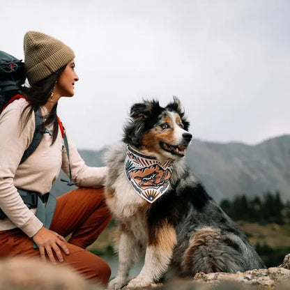 🐶2-in-1 Reversible Dog Bandana Bowl