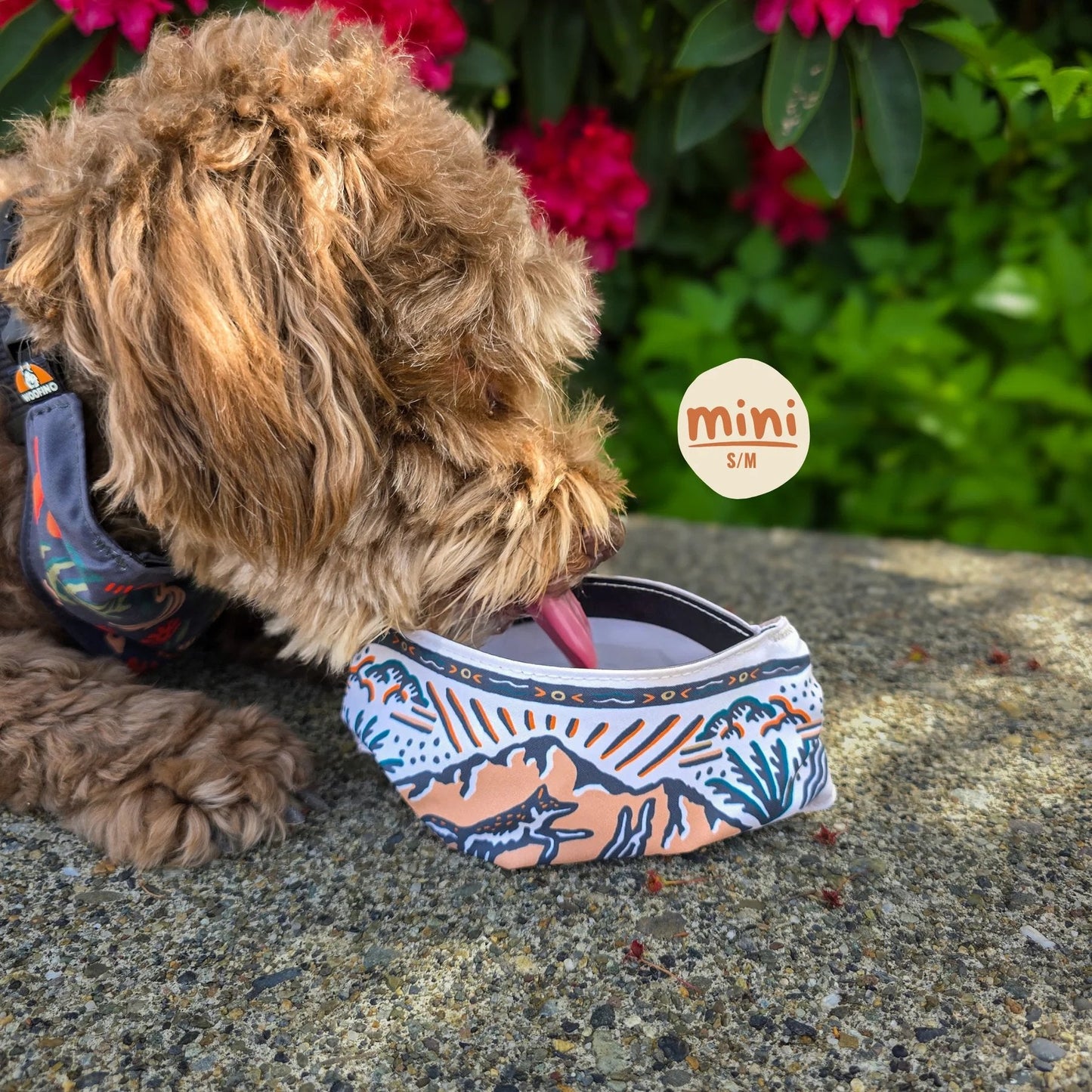 🐶2-in-1 Reversible Dog Bandana Bowl