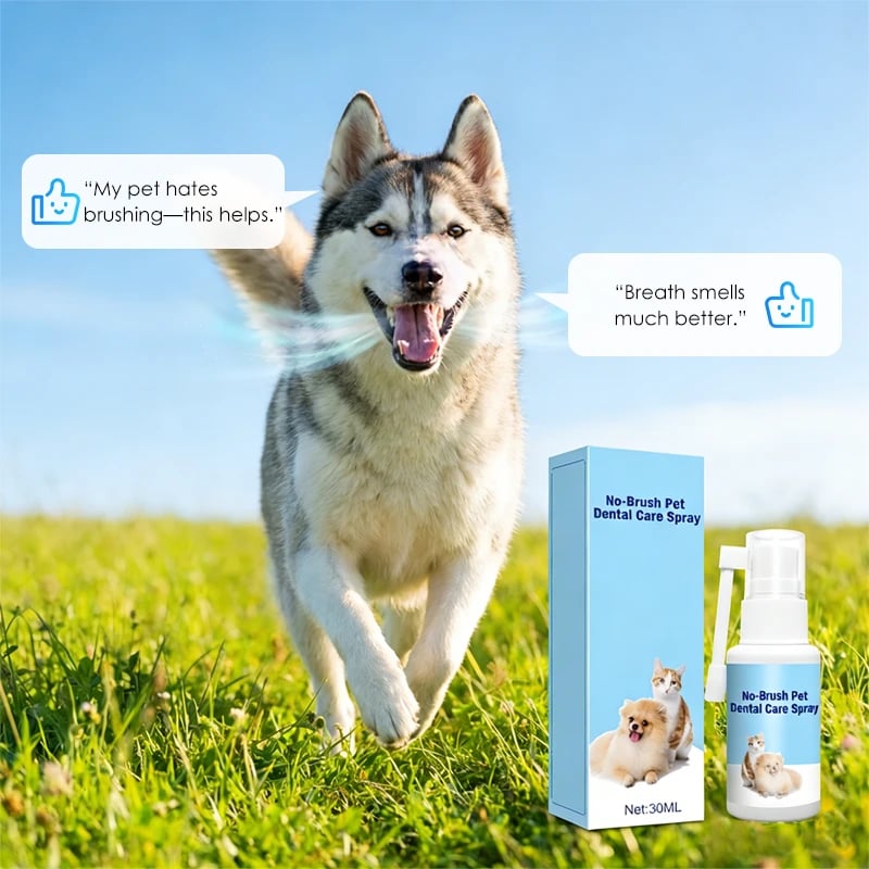 🐾No-Brush Pet Dental Care Spray
