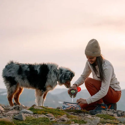 🐶2-in-1 Reversible Dog Bandana Bowl