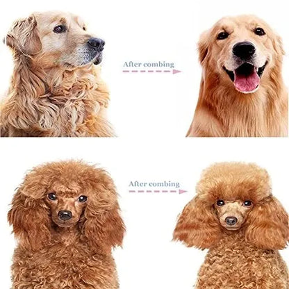 🐾 FLASH SALE: 50% OFF! ✨ Double-Sided Deshedding Pet Brush – Dual-Sided, Ergonomic & Gentle for Dogs & Cats 🐶