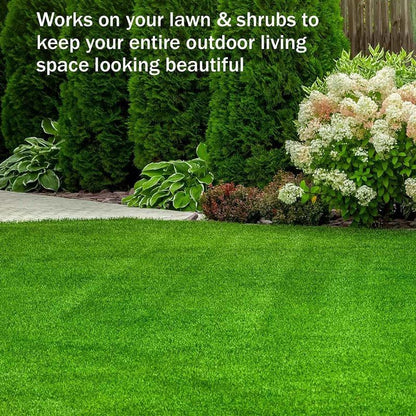 🔥Last Day Sale 49%🔥Green Grass Paint Spray🌿✅