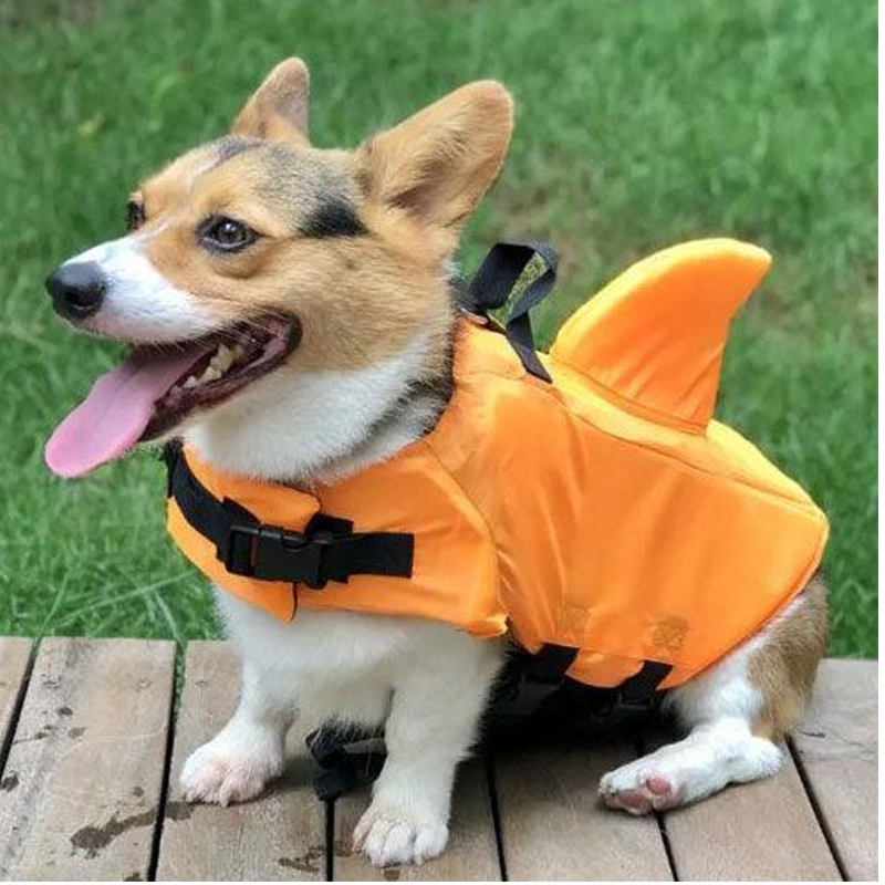 ⏰ 50% OFF – Snag One Now 🦈🐶 Adjustable Shark-Shaped Dog Life Vest – Your Pup Will Look Fin-Tastic! | Safety Float + Cute Design