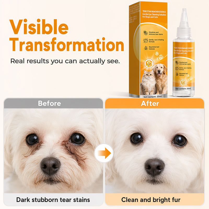 🐾 Tear Stain Remover for Dogs & Cats – 20ml Eye-Area Fur Cleaner ✨